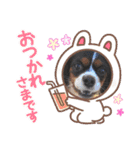 リンちゃんスタンプ第三弾（個別スタンプ：4）