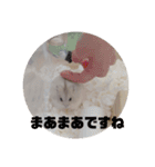 くりーむってハム可愛すぎだろ！（個別スタンプ：18）