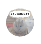 くりーむってハム可愛すぎだろ！（個別スタンプ：22）