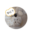 くりーむってハム可愛すぎだろ！（個別スタンプ：23）
