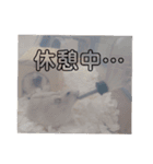 くりーむってハム可愛すぎだろ！（個別スタンプ：24）