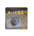 くりーむってハム可愛すぎだろ！（個別スタンプ：25）