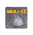 くりーむってハム可愛すぎだろ！（個別スタンプ：26）