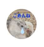 くりーむってハム可愛すぎだろ！（個別スタンプ：28）