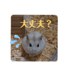 くりーむってハム可愛すぎだろ！（個別スタンプ：29）