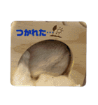 くりーむってハム可愛すぎだろ！（個別スタンプ：35）