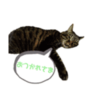 じゅに様。（個別スタンプ：2）
