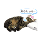 じゅに様。（個別スタンプ：4）