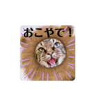 じゅに様。（個別スタンプ：5）