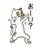 踊る猫 その2（個別スタンプ：6）
