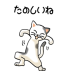 踊る猫 その2（個別スタンプ：26）