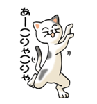 踊る猫 その2（個別スタンプ：31）