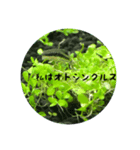 可愛いお魚と文字スタンプだよ！（個別スタンプ：4）