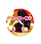 モルモットの歌音とティンク☆1（個別スタンプ：12）