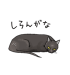 俺様暮らしの黒猫（個別スタンプ：18）