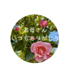 母の日 花の写真とともに感謝を伝えよう（個別スタンプ：1）