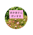 母の日 花の写真とともに感謝を伝えよう（個別スタンプ：5）