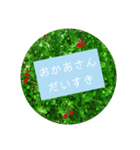 母の日 花の写真とともに感謝を伝えよう（個別スタンプ：6）