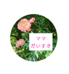母の日 花の写真とともに感謝を伝えよう（個別スタンプ：7）