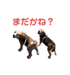 ベルちゃんとリュウくん2（個別スタンプ：9）