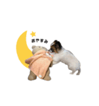 コロカスくん（個別スタンプ：2）