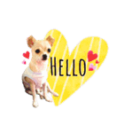 チワワ犬のJulian（ジュリアン）（個別スタンプ：2）
