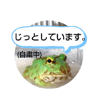 ベルツノ ペパーミントさん1（個別スタンプ：2）