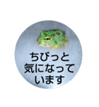 ベルツノ ペパーミントさん1（個別スタンプ：4）