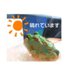 ベルツノ ペパーミントさん1（個別スタンプ：6）