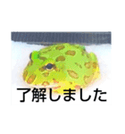 ベルツノ ペパーミントさん1（個別スタンプ：11）