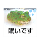 ベルツノ ペパーミントさん1（個別スタンプ：12）