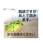 ベルツノ ペパーミントさん1（個別スタンプ：14）