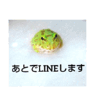 ベルツノ ペパーミントさん1（個別スタンプ：15）