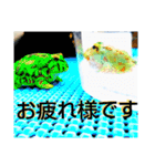 ベルツノ ペパーミントさん1（個別スタンプ：16）