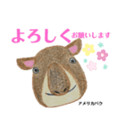 nanda zoo cookies 「よろしく」のみ。（個別スタンプ：1）