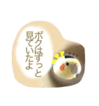 インコのすたんぷ（個別スタンプ：1）