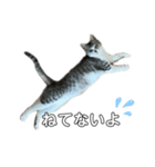 ねる ぺぺ   いそぐ ぺぺ   いじける ぺぺ（個別スタンプ：3）