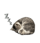 ねる ぺぺ   いそぐ ぺぺ   いじける ぺぺ（個別スタンプ：12）