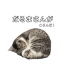 ねる ぺぺ   いそぐ ぺぺ   いじける ぺぺ（個別スタンプ：13）
