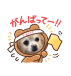 チワワwwころん＆ぷりん（個別スタンプ：18）