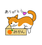 うちの猫がお返事するよ Part2（茶白）（個別スタンプ：23）