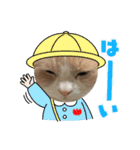 tocco/special③/猫/レオ/カイ/（個別スタンプ：3）