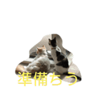 tocco/special③/猫/レオ/カイ/（個別スタンプ：39）