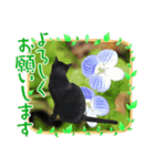 いぬとも＆うちのねこ（個別スタンプ：6）