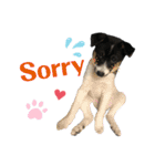 Archie’s life. (English)（個別スタンプ：9）