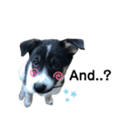 Archie’s life. (English)（個別スタンプ：18）