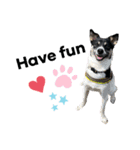 Archie’s life. (English)（個別スタンプ：31）