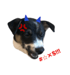Archie’s life. (English)（個別スタンプ：35）