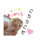 うさぎのち晴れ♪時々⭐ちんちら⑩（個別スタンプ：7）