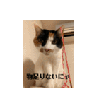 まるゴールデンウィークのスタンプ！（個別スタンプ：2）